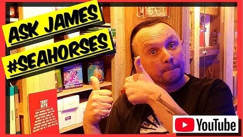 Can I Keep SEAHORSES In My Reef Aquarium? Ask James