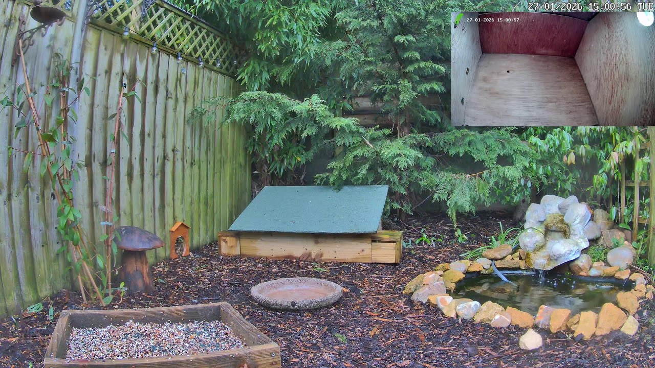 🔴 Cornwall Wildlife Garden & Nest Box