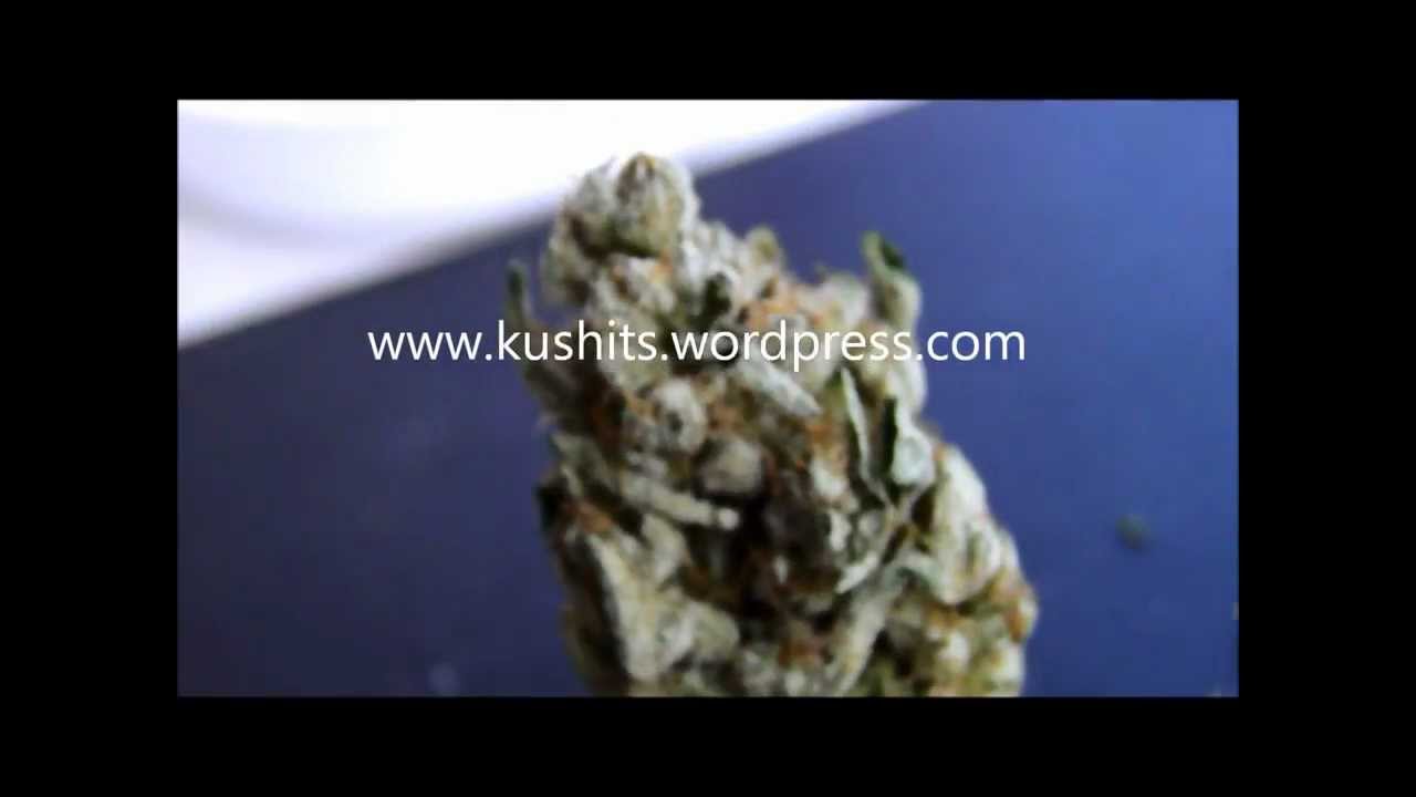 SUPREME BUBBA KUSH LOOMPA FARMS