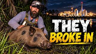 Wild Hogs Broke Into a Gas Plant… So I Got Called In