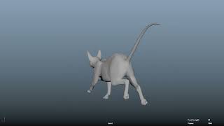 Famous Cat Run Cycle Turn (12f) Wealth