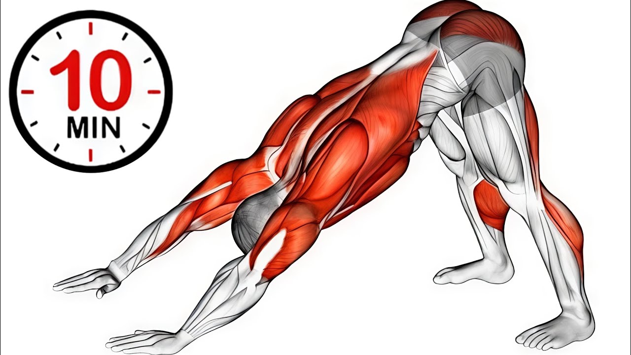 10 Minute Full Body Stretching Workout | FIT3DWORKOUT | Daily Flexibility & Recovery Routine