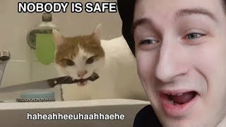 Reviewing your Threatening MEMEs @RadiantSoul