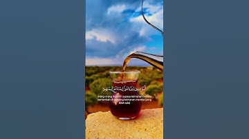 سورة الفتح || عبدرالحمن مسعد #اكسبلورفولو #اكسبلور #القرآن #القرآن_الكريم #quran