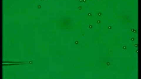 Detailed process of pick-and-position of the sixth particle to form the sixth vertex of the hexagon.