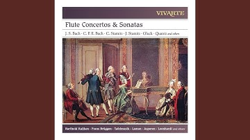 Concerto in G Major for Flute, Strings, 2 Oboes, 2 Horns and Basso: II. Andante non troppo moderato