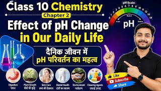 दैनिक जीवन में pH परिवर्तन का महत्व | Class 10 Chemistry Chapter 2 | Hindi & English