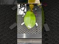 🌿🌿Leaf painting production process#Leaf engraving machine#Leaf carving machine