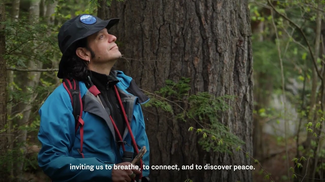 MicroExploring the SuperSanctuary