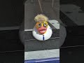 Eye Duck 26/05