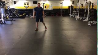 Single Leg Bound (single jump with landing)