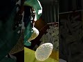 Duping the rotten fish with fans!