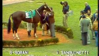 GRAN CRITERIUM G1 1982 -HSI