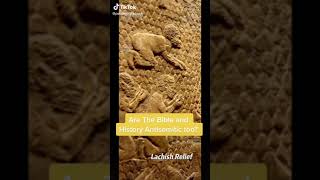 Lachish Reliefs Phenotypes #Lachish #Reliefs #Phenotypes