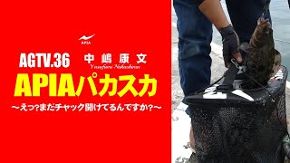 AGTV.36【APIAパカスカ】中嶋康文 〜パカパカスカリ略して"パカスカ"。「えっ？まだチャック開けてるんですか？」