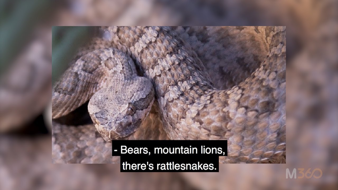 Mastering360: Ep#0 - Things that will eat you story