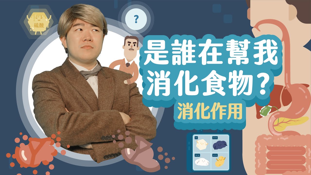 傳說中存在於胃中的分解大師！【LIS科學史】（許旺－消化作用）
