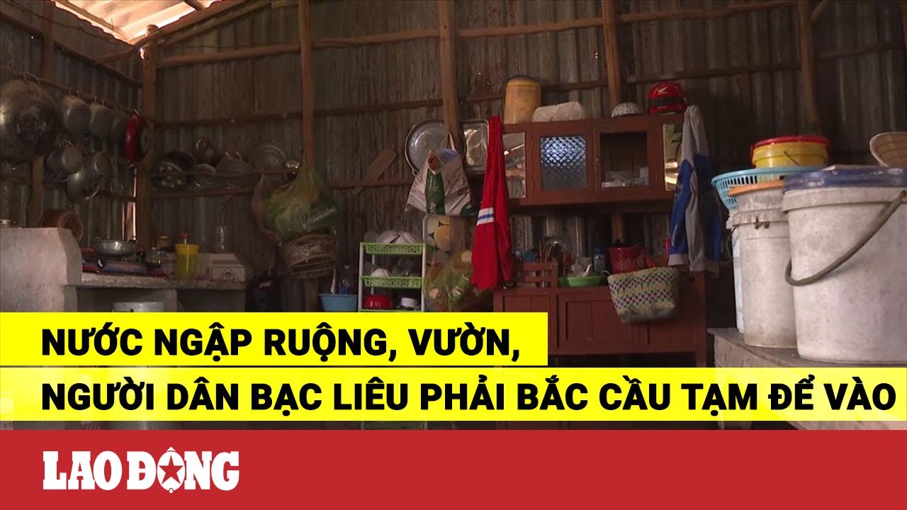 Nước ngập ruộng, vườn, người dân Bạc Liêu phải bắc cầu... - youtube