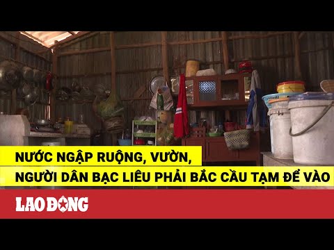 Video Nước ngập ruộng, vườn, người dân Bạc Liêu phải bắc cầu... - youtube