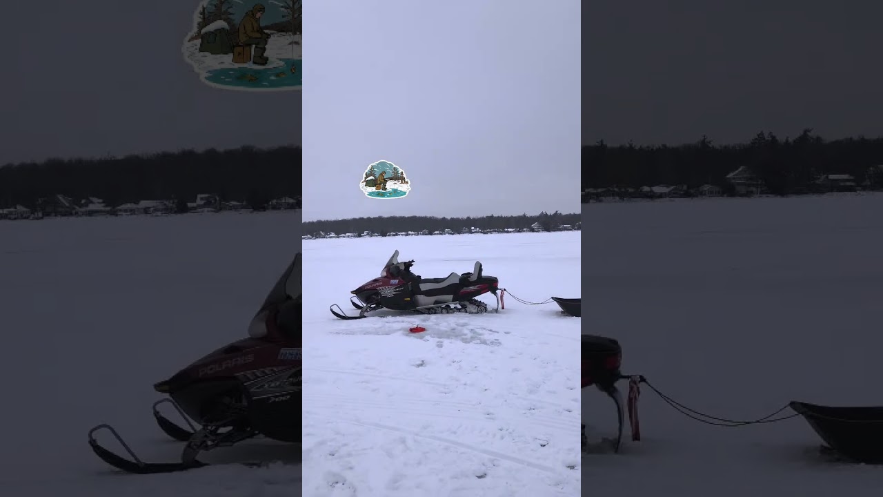 cooks bay ice fishing January 17 2026 ice report 8 inches black ice 