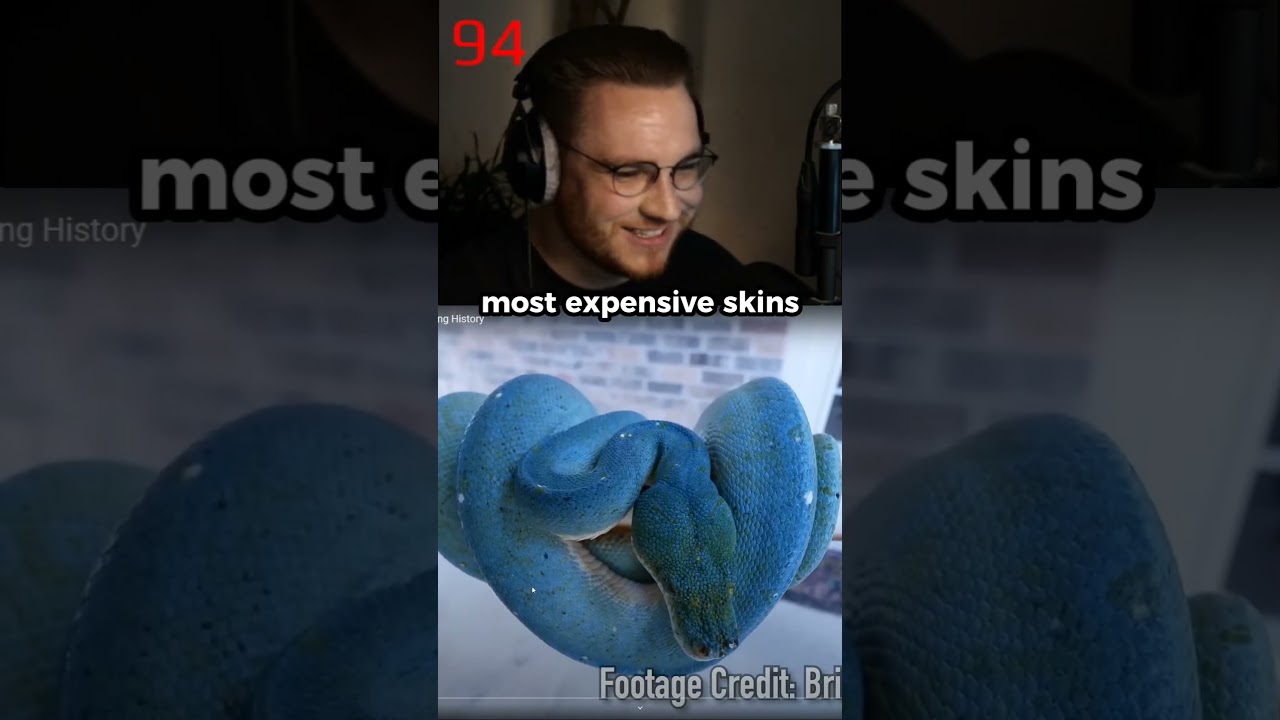 insane $445,000 blue gem snake