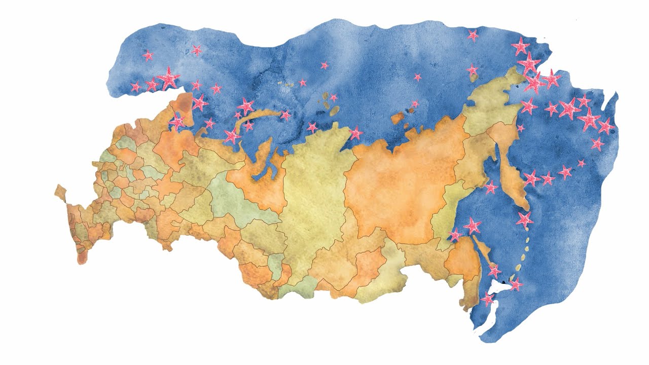 11.1. Иглокожие: морские звёзды и ежи