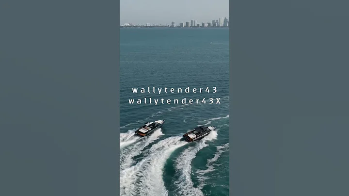 Luxury Yachts - The versatile wallytender43 and wallytender43X - Wally - Ferretti Group