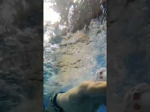 Резина с поясом СТ ST SwimTraining SWIMBELT 2,5м