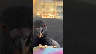 Hes Been Stopping By For Dinner This Week.