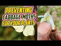 The Ultimate Guide to Preventing Cabbage Moths from Destroying Your Plants