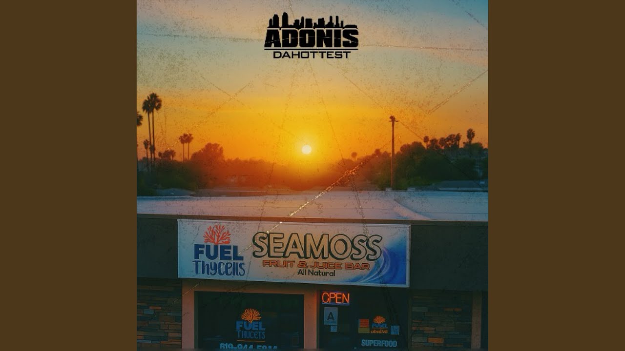 Seamoss Shop (Fuel Thy Cells)