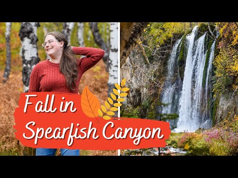 SPEARFISH CANYON in Fall -- Waterfalls, Hikes, and Cute Towns