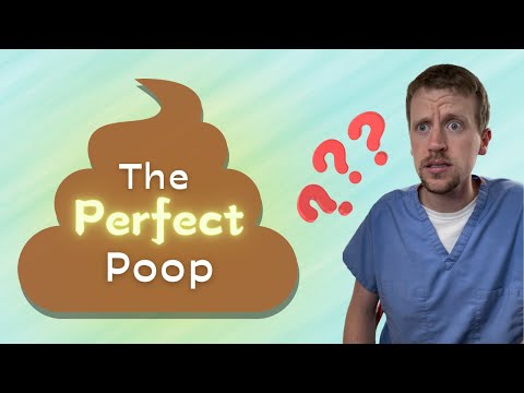 The Perfect Poop