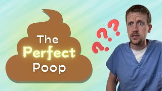 The Perfect Poop