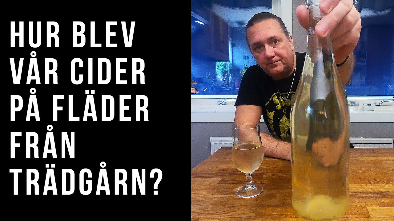 Vår egenplockade flädercider - hur blev den?