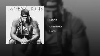 Lions Lions