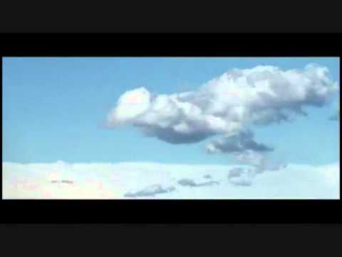 Putar 16th & Valencia Roxy Music - Devendra Banhart