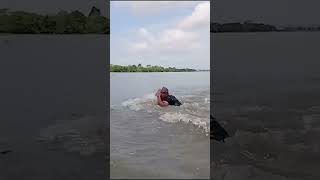 He Did Not Expect That Alligator!😨#animalfails #funnyanimalvideos #BestOfTheWeek #Viral #Shorts #fun