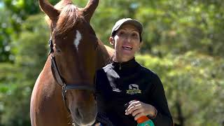 Santa Fe™ Coat Conditioner & Sunscreen | Anti‑Fade, Saddle‑Safe Care for Sport Horses