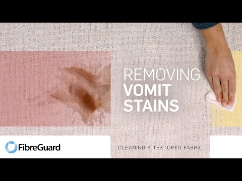 How to remove vomit stains from a textured fabric | FibreGuard Stain Free Technology