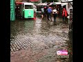 وردة الجزائرية ليالينا