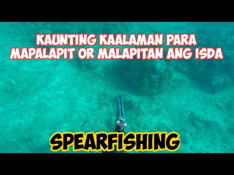 Video: Paano Pumili Ng Gamit Sa Pangingisda Ng Sibat