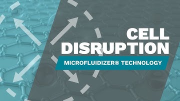 Cell Disruption