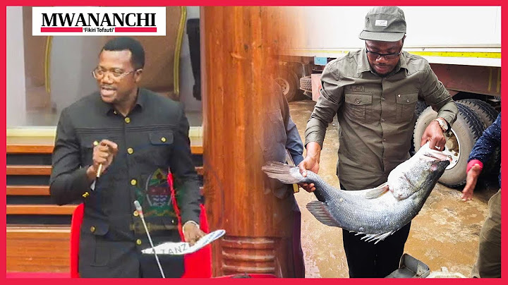 Mpina aibuka tena na hoja ya Samaki Bungeni; ataka uchunguzi ujenzi wa SGR