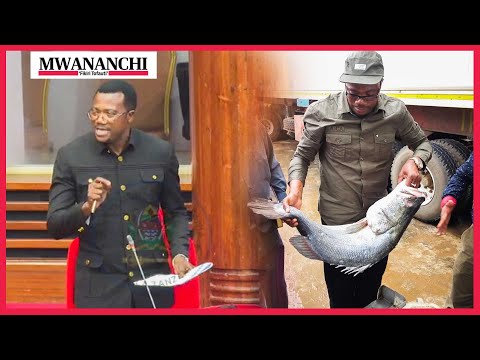 Mpina Aibuka Tena Na Hoja Ya Samaki Bungeni Ataka Uchunguzi Ujenzi Wa SGR