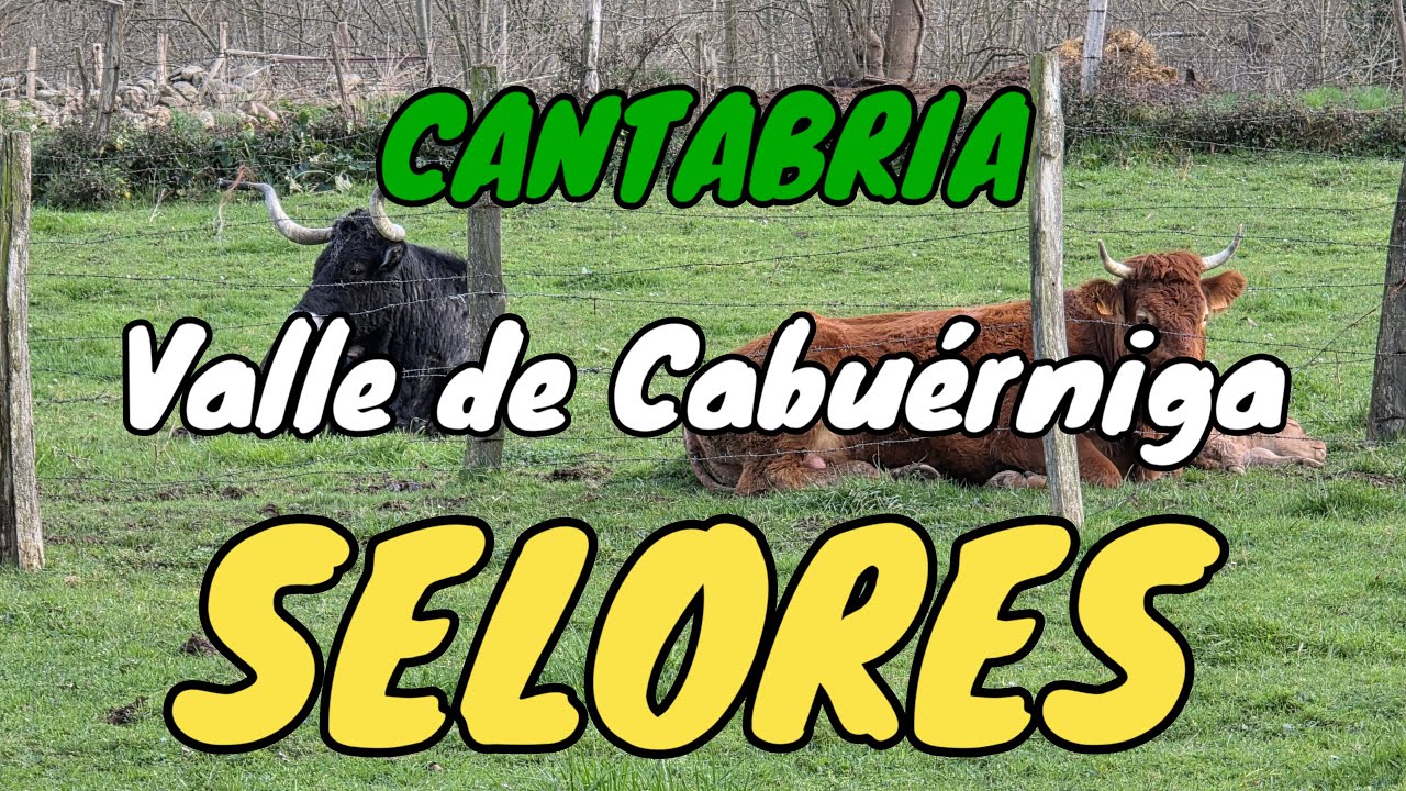 SELORES. En el Valle de Cabuérniga. Naturaleza y Mucha Tranquilidad junto al Río Saja. CANTABRIA.