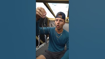 BEST Fishing Lure for BASS!? #fishing