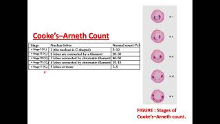 ARNETH COUNT