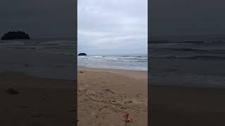 playa chaguaramas