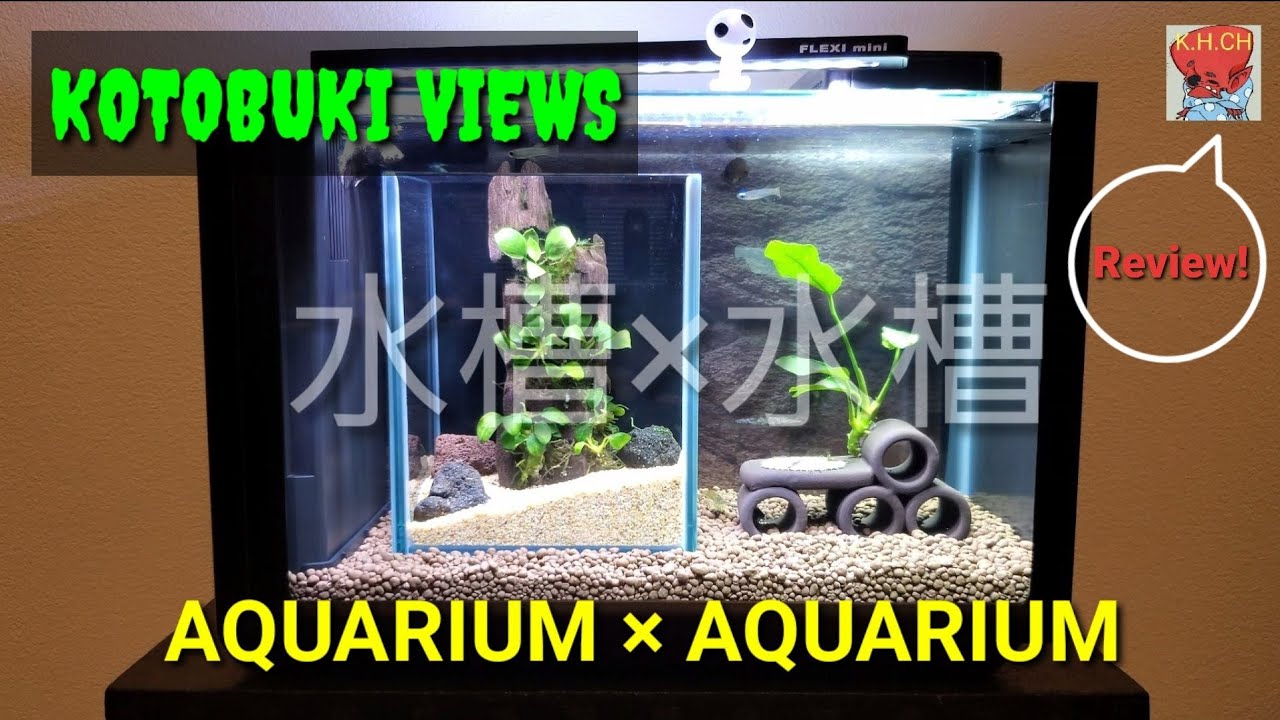 Aquarium スタイリッシュ水槽 コトブキ工芸 Views レビュー Youtube
